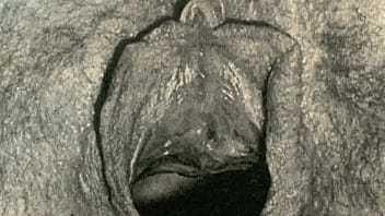 Peek Through The Keyhole As Dark Lantern Entertainment Unveils ‘vintage Closeups’: Uncensored, Steamy Confessions From The Secret Diary Of A Victorian English Gentleman.